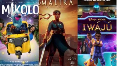 FG Moves to Nationalise Nigerian Kids’ Cartoons - NOA DG