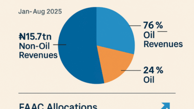 How Tinubu surpassed 2025 Non-Oil Revenue target
