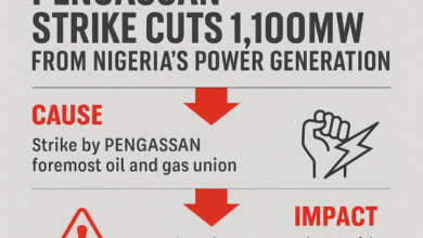Nigeria’s Power Grid Under Pressure as PENGASSAN Strike Cut 1,100MW