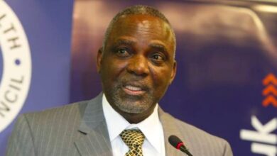 Barth Nnaji to Lead Ebonyi’s Industrialisation Drive as State Targets Power, Cement and Salt Revolution