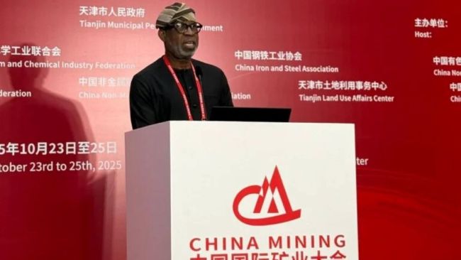 China Bets Big on Nigeria’s Lithium Boom: $1.3bn Investment Signals New Era for Solid Minerals Sector - Alake