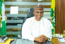 Abuja’s Agro Power Can Drive Nigeria’s Non-Oil Revenue Growth - Dantsoho