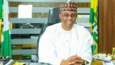 Abuja’s Agro Power Can Drive Nigeria’s Non-Oil Revenue Growth - Dantsoho