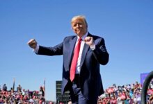 Trump to Celebrate 80th Birthday with UFC Cage Fight on White House Lawn