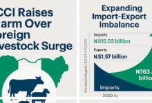 LCCI Raises Alarm Over Foreign Livestock Surge, Warns of Looming Threat to Nigeria’s Agribusiness Economy