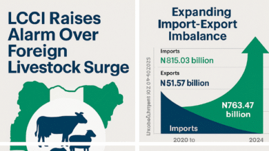 LCCI Raises Alarm Over Foreign Livestock Surge, Warns of Looming Threat to Nigeria’s Agribusiness Economy