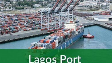 APC Defends $1bn Lagos Port Project, Says Investment Is Part of National Maritime Modernisation Plan