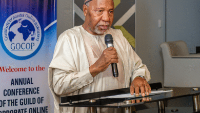 Masari: Nigeria Must Bridge the Gap Between Political Promises and Governance Realities