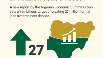 NESG Urges FG to Create 27 Million Jobs by 2030 to Sustain Growth, Curb Unemployment