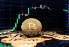 Crypto Booms as Nigeria Records $50bn in Transactions — A Wake-Up Call for Capital Market Reform