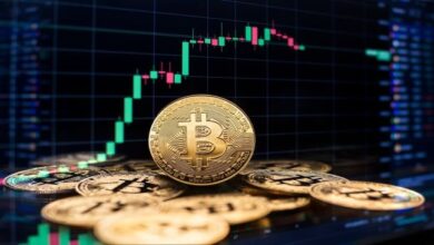 Crypto Booms as Nigeria Records $50bn in Transactions — A Wake-Up Call for Capital Market Reform