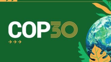 COP30: Global Clean-Energy Push Targets $1 Trillion Grid & Storage Boom by 2035