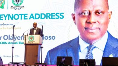 Nigeria Enters New Stability Era as Reforms Lift FX, Inflation and Investor Confidence — Cardoso