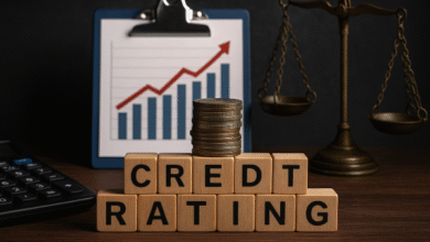Africa Loses $74.5bn Yearly to Skewed Credit Ratings: Experts Warn of Structural Bias in Global Finance