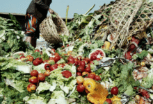 BIPC, Nigeria Commodity Exchange Partner to Tackle Post-Harvest Losses and Boost Benue’s Agribusiness Revolution