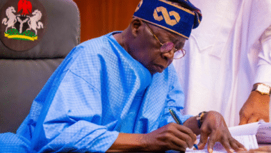 Tinubu Sets Up Tax Policy Implementation Committee to Drive Fiscal Reform