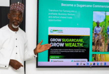 FG Launches Sugarcane Outgrower Programme to Boost Local Production, Cut Imports
