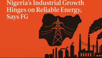 Nigeria’s Industrial Revival Hinges on Reliable Energy, Says FG