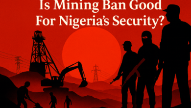 Why a Mining Ban Won’t Solve Nigeria’s Security Crisis — Industry Leaders Warn