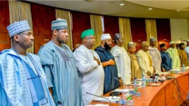 Northern Governors Unite to Transform Security, Human Capital and Long-Term Stability Through Early Childhood Investment