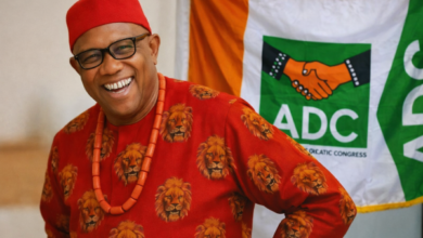 Peter Obi Leads Igbo Political Bloc into ADC, Signals 2027 Opposition Reset
