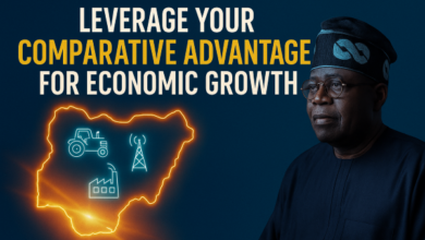 Unlocking Nigeria’s Growth Engine: Tinubu Urges States to Leverage Their Comparative Advantage