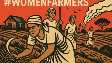 Nigeria’s Food Security Threatened as Women Farmers Struggle for Farmland Access