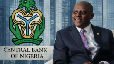 CBN Sees $51bn FX Reserves in 2026: What Must Go Right for the Naira, Economy