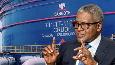 Nigeria on the Rise: Dangote Group Moves to Top the Global Fertiliser Market by 2028