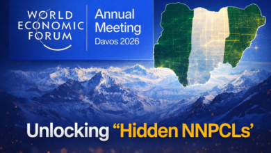 Davos 2026 Thesis: How Nigeria Can Unlock “Hidden NNPCLs” to Earn Forex and Create Jobs