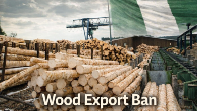 Wood Export Ban: Nigeria’s Furniture Industry Set for a Manufacturing Breakout in 2026