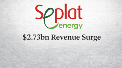 Seplat Energy Surges with $2.73bn Revenue, Signals Nigeria’s Indigenous Energy Power Shift