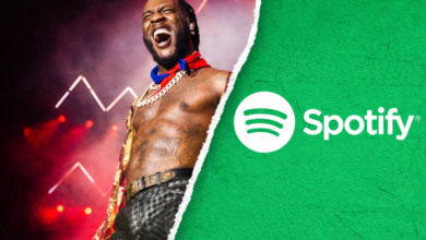 Nigerian Artistes Earn Over ₦60bn from Spotify Streams as Burna Boy Breaks Global Concert Revenue Record