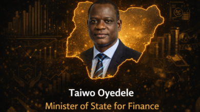 Tinubu Appoints Taiwo Oyedele as Minister of State for Finance to Drive Fiscal Reforms
