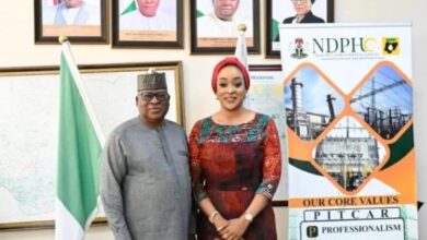 Togo Seeks Higher Electricity Imports from Nigeria to Meet Rising Power Demand