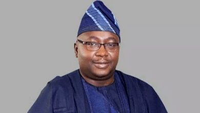 What Future for Nigeria’s Power Sector as Minister Adelabu Plans Exit
