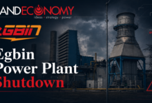 Fatal Maintenance Incident Forces Egbin Power Plant Shutdown