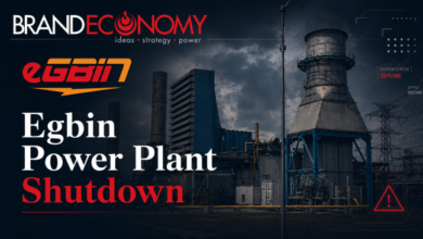 Fatal Maintenance Incident Forces Egbin Power Plant Shutdown