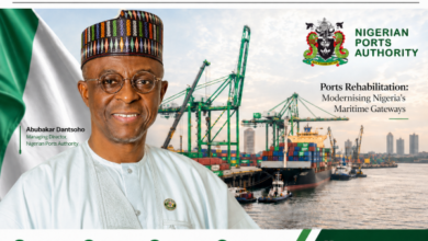 Ports Rehabilitation: NPA Promises Seamless Operations when Apapa, Tin Can Upgrade Begins