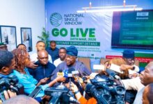 National Single Window at Apapa: Trade Reform in Motion, Friction in Transition