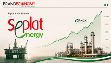 More Wins for Seplat as Shares Hit ₦10,450 and Brand Value Soars