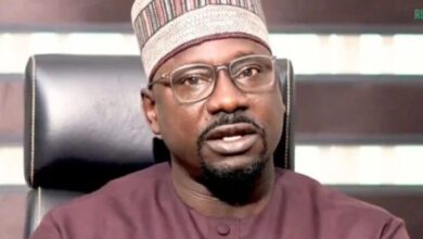 Nigeria Boosts Solar Capacity to 300MW, Targets 3.7GW to Lead West Africa