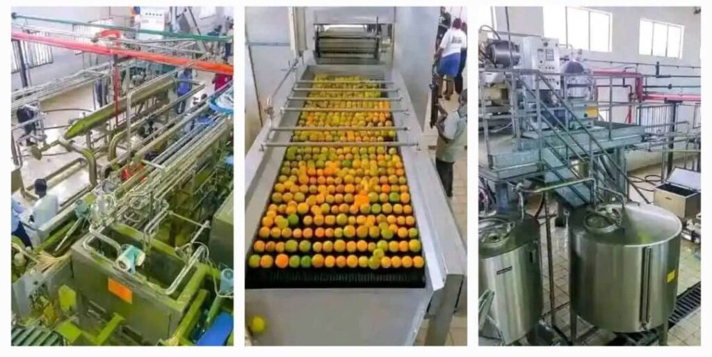 Benfruit Juice Factory Ready for Full-Scale Production, Says BIPC