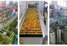 Benfruit Juice Factory Ready for Full-Scale Production, Says BIPC