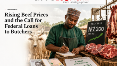 Miyetti Allah Seeks FG Loans for Butchers to Reduce Beef Prices