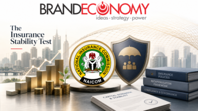 Recapitalisation: No Insurance Firm Will Be Allowed to Fail, NAICOM Assures Market