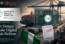 Six Weeks In, Nigeria’s National Single Window Fighting for Credibility amid Mounting Cargo Delays, Demurrage 