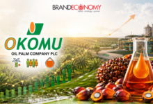 Okomu Oil Posts Strong 2025 Earnings as Palm Revenue Hits ₦172.6bn