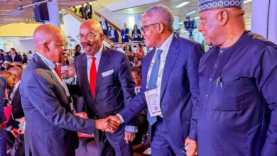 Oyetola Pitches Nigeria’s Blue Economy Agenda at Africa-France Summit
