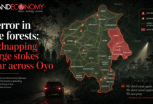 Terror in the forests: Kidnapping surge stokes fear across Oyo
